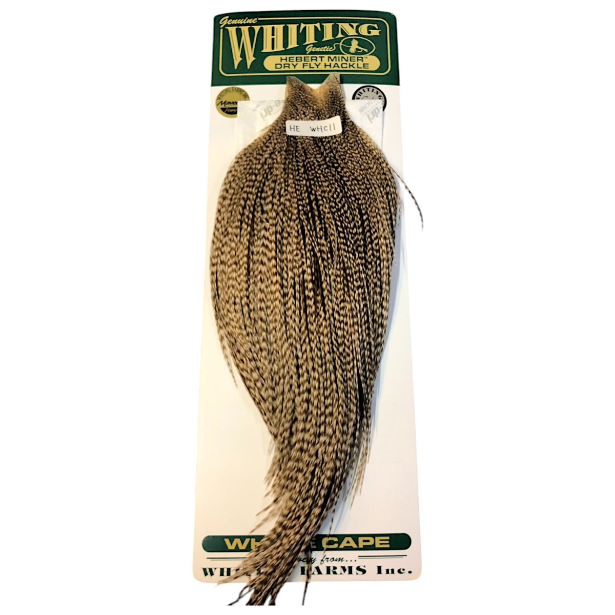 画像1: WHITING　Hebart　Rooster  Cape　ルースターケープ　ダングリズリー　Silver Grade 　WHC11　ホワイティング　 (1)