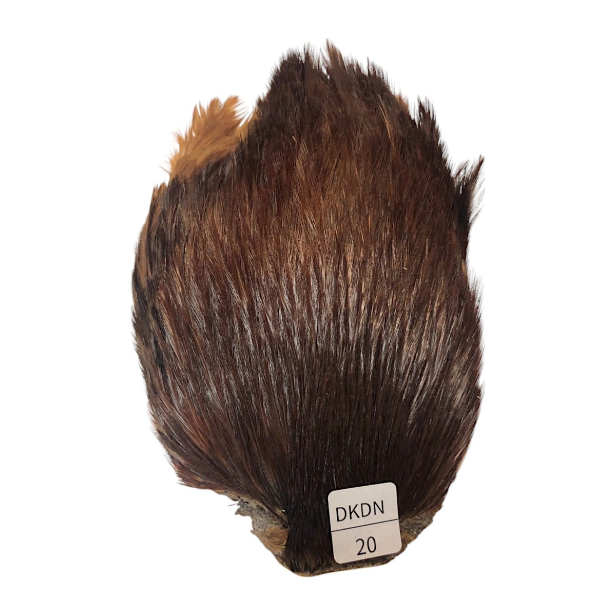 画像1: インドコックケープ India Cock Neck Cape　ブラウンダン　NO20 (1)