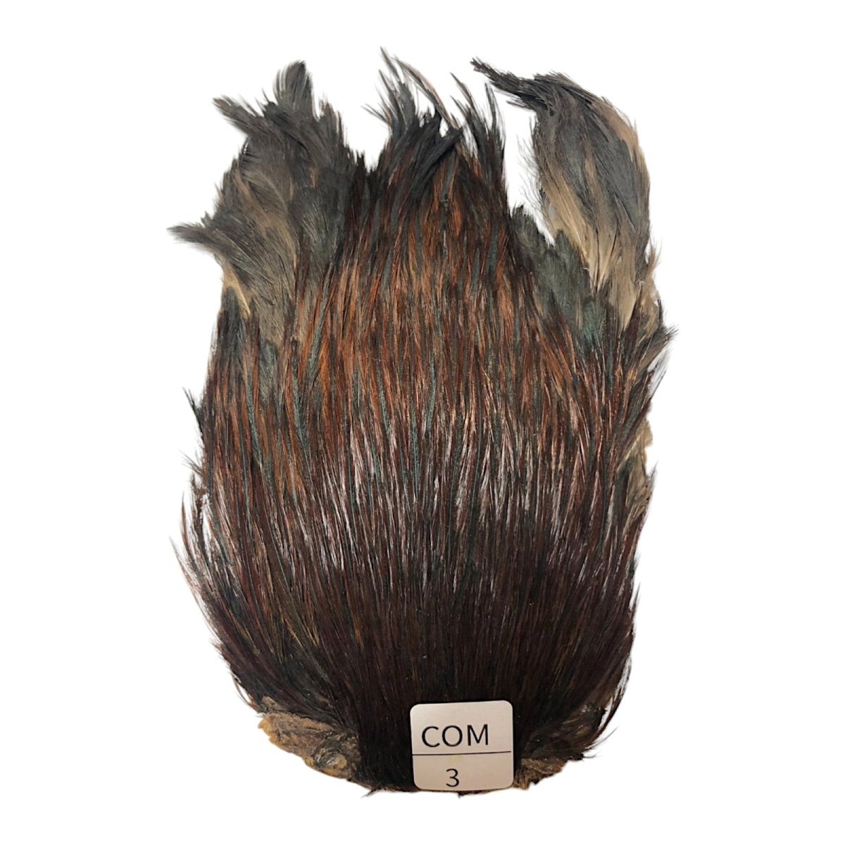 画像1: インドコックケープ India Cock Neck Cape　コーチマン　NO3 (1)