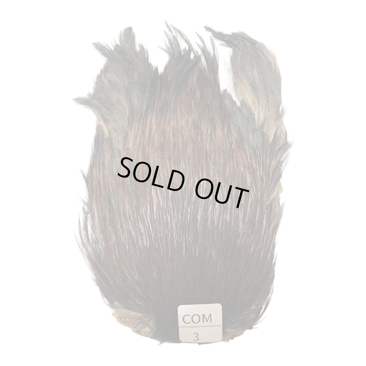 画像1: インドコックケープ India Cock Neck Cape　コーチマン　NO3 (1)