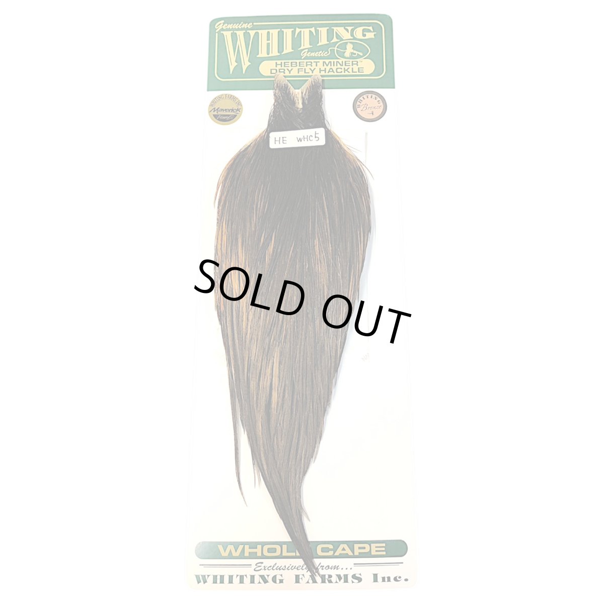 画像1: WHITING　Hebart　Rooster  Cape　ルースターケープ　ユニークバリアント　Bronze Grade 　WHC5　ホワイティング　 (1)