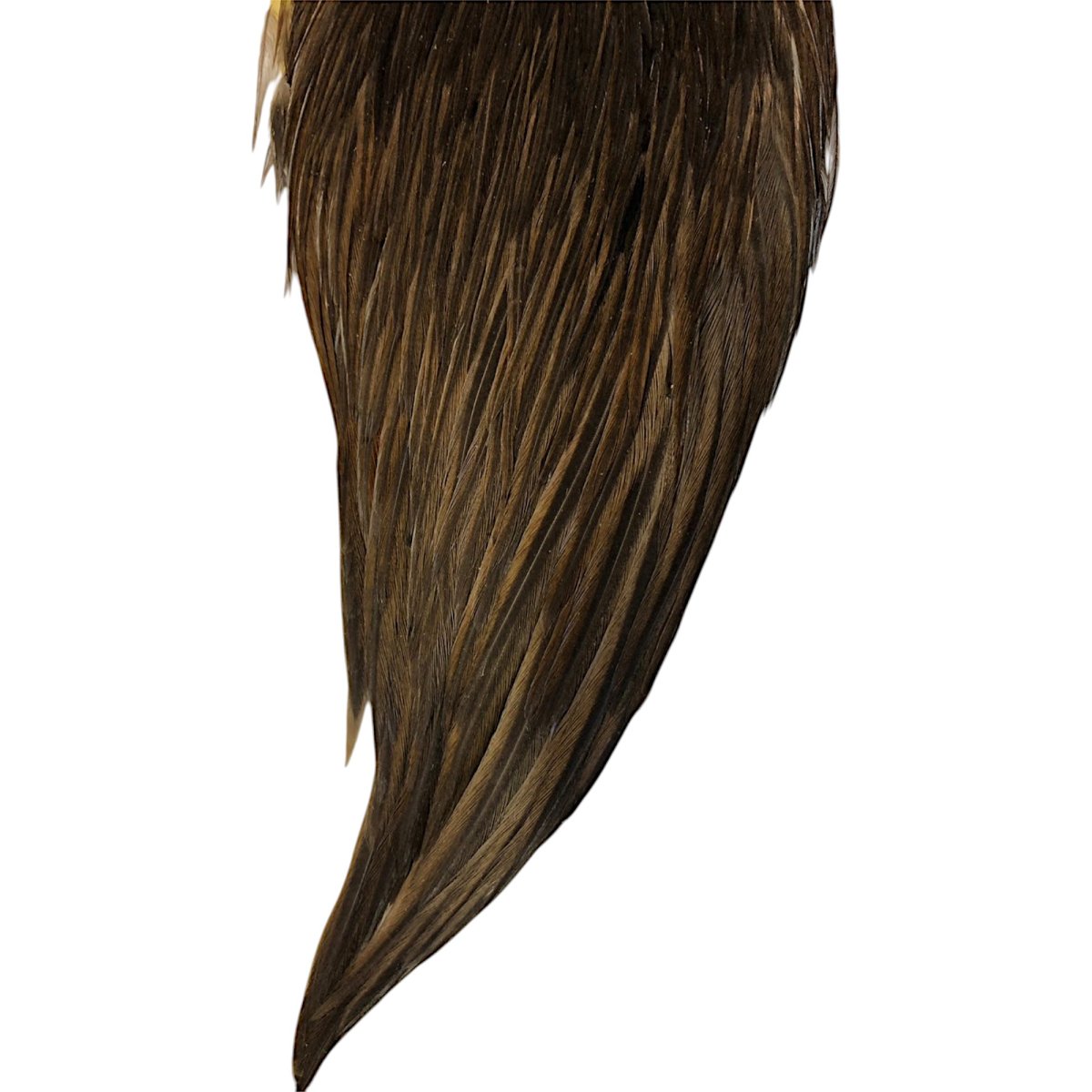 画像3: WHITING Hebart Hen Cape ヘンケープ ダークブラウンダン HEC4 ホワイティング  (3)