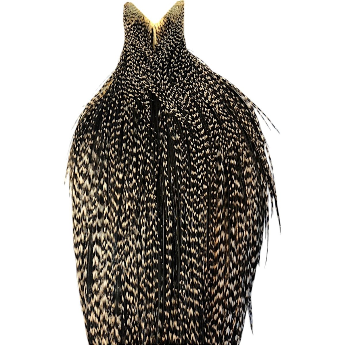 画像2: WHITING Hebart Rooster  Cape ルースターケープ グリズリーバリアント Silver Grade  WHC13 ホワイティング  (2)