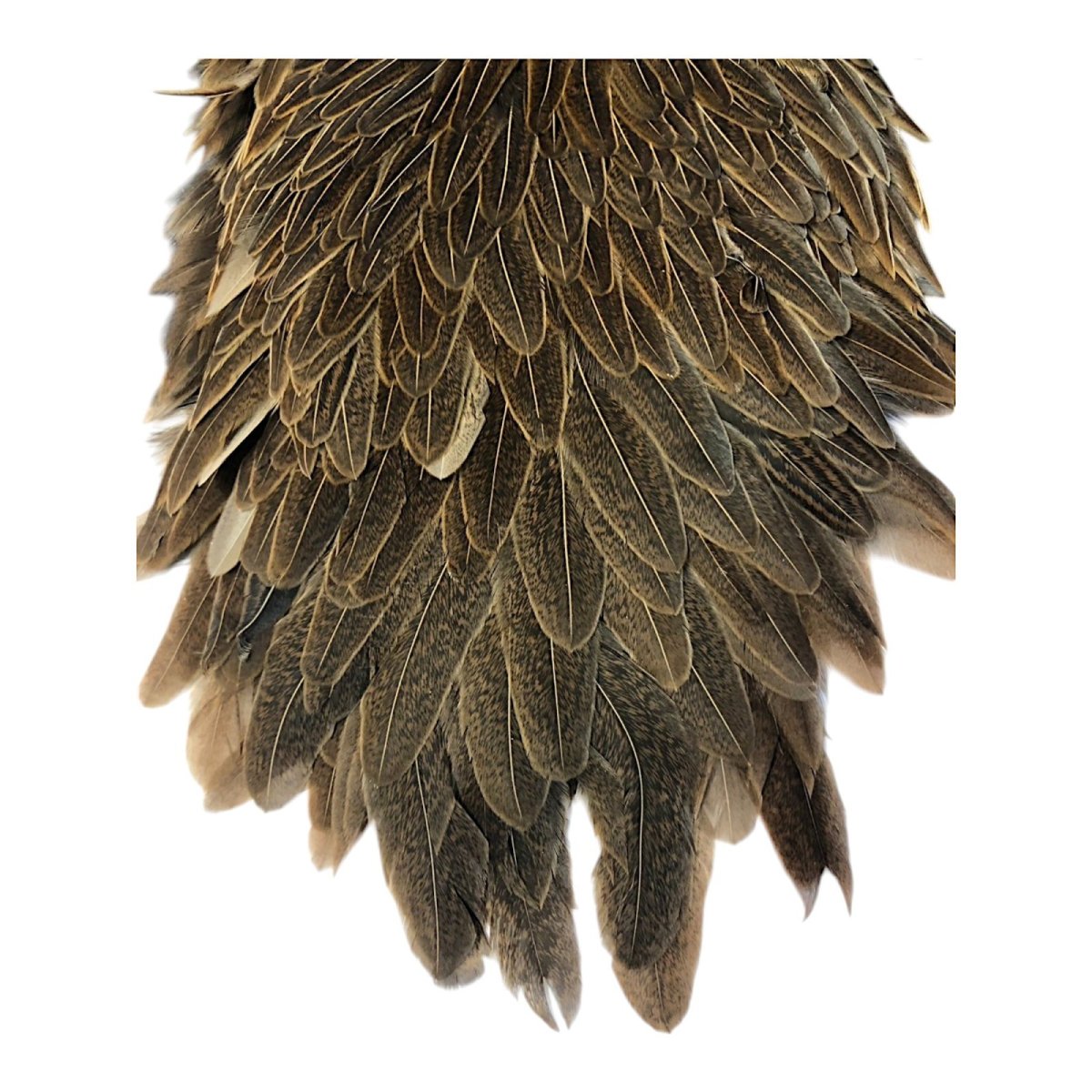 画像3: WHITING Hebart Hen Saddle ヘンサドル ワイルドタイプブラウン HES5 ホワイティング  (3)