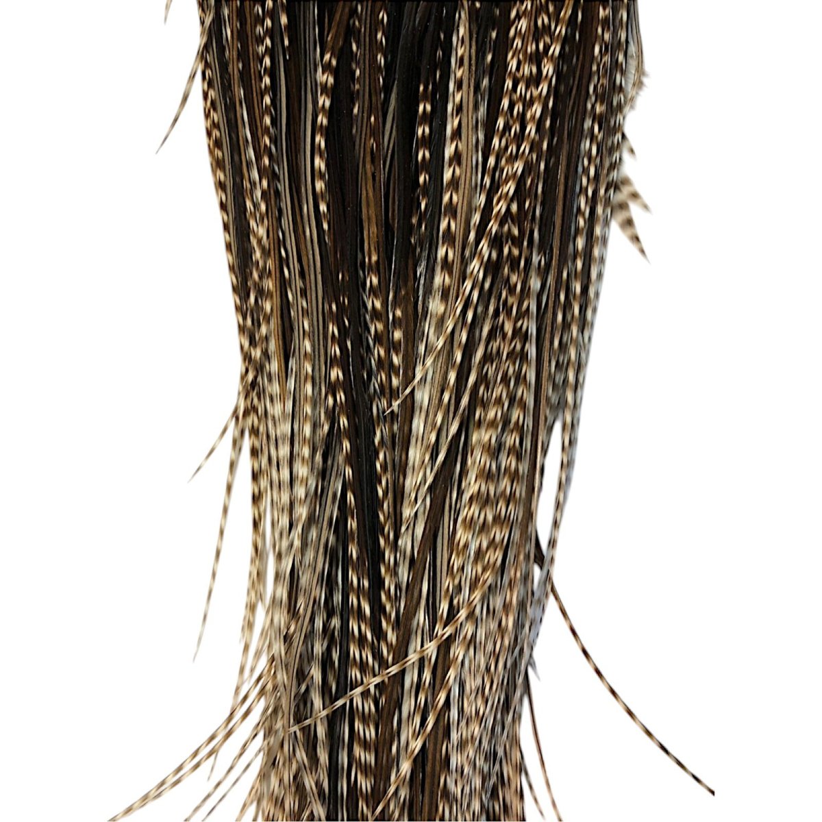 画像3: WHITING Hebart Rooster Saddle ルースターサドル ダングリズリー Bronze Grade  RS6 ホワイティング  (3)