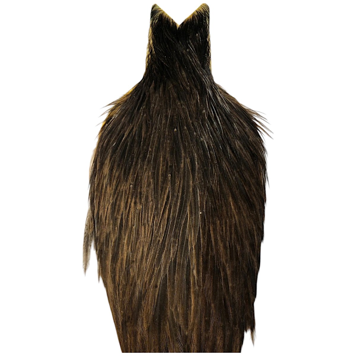 画像2: WHITING Hebart Hen Cape ヘンケープ ダークブラウンダン HEC6 ホワイティング  (2)