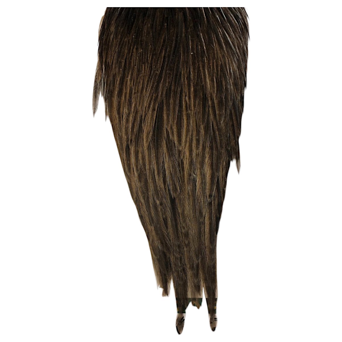 画像3: WHITING Hebart Hen Cape ヘンケープ ダークブラウンダン HEC6 ホワイティング  (3)