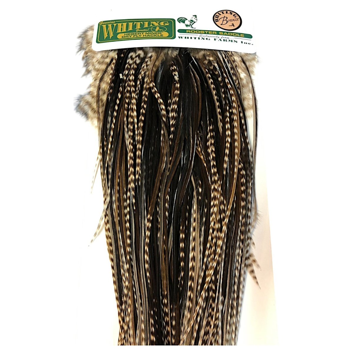 画像2: WHITING Hebart Rooster Saddle ルースターサドル ダングリズリー Bronze Grade  RS6 ホワイティング  (2)