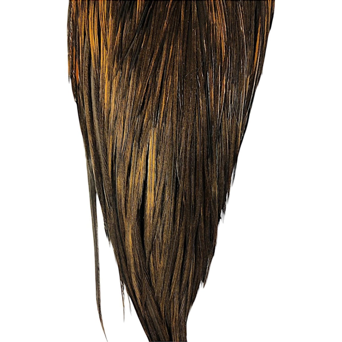 画像3: WHITING Hebart Rooster  Cape ルースターケープ ユニークバリアント Bronze Grade  WHC5 ホワイティング  (3)