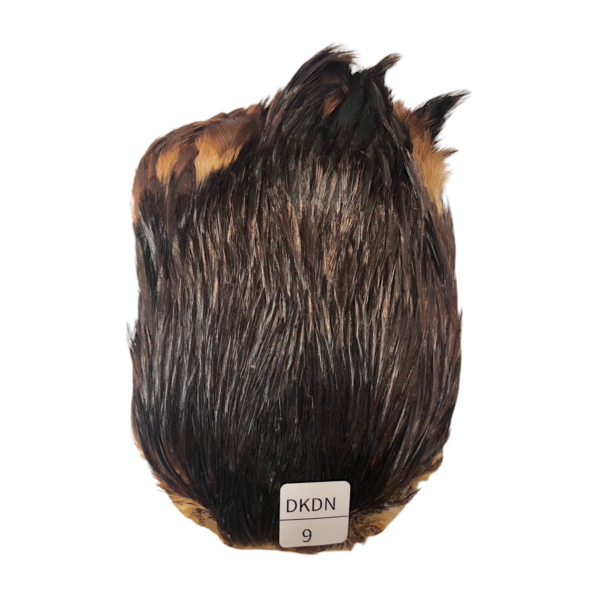 画像1: インドコックケープ India Cock Neck Cape　ブラウンダン　NO9 (1)