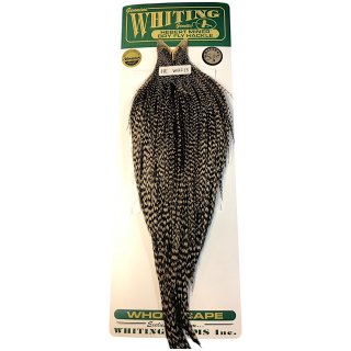 ホワイティング WHITING ROOSTER CAPE BRONZE ブラック（WHITING