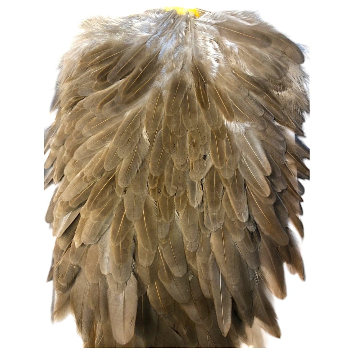 画像2: WHITING Hebart Hen Saddle ヘンサドル ミディアムブラウンダン HES3 ホワイティング  (2)