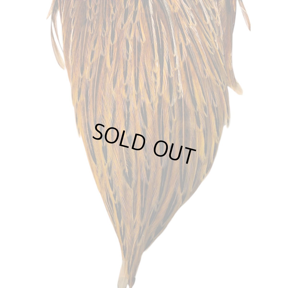 画像3: WHITING Hebart Hen Cape ヘンケープ ブラウン HEC1 ホワイティング  (3)