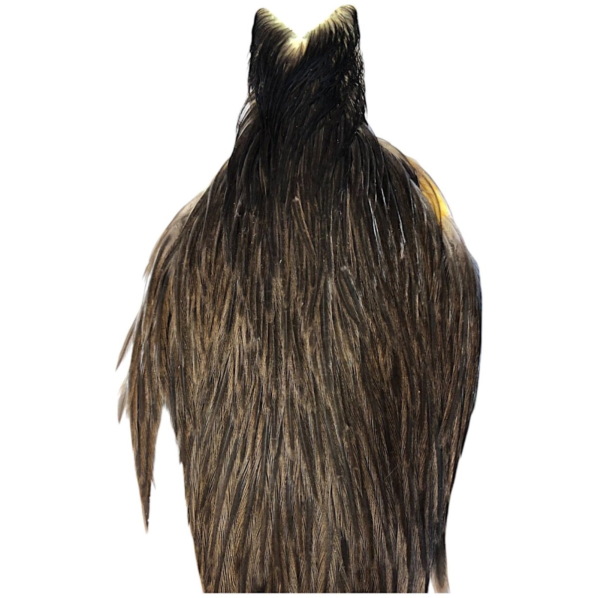 画像2: WHITING Hebart Hen Cape ヘンケープ ダークブラウンダン HEC10 ホワイティング  (2)