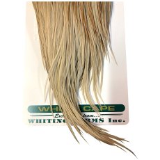 画像3: WHITING　Hebart　Rooster  Cape　ルースターケープ　ユニークバリアント　Bronze Grade 　WHC6　ホワイティング　 (3)