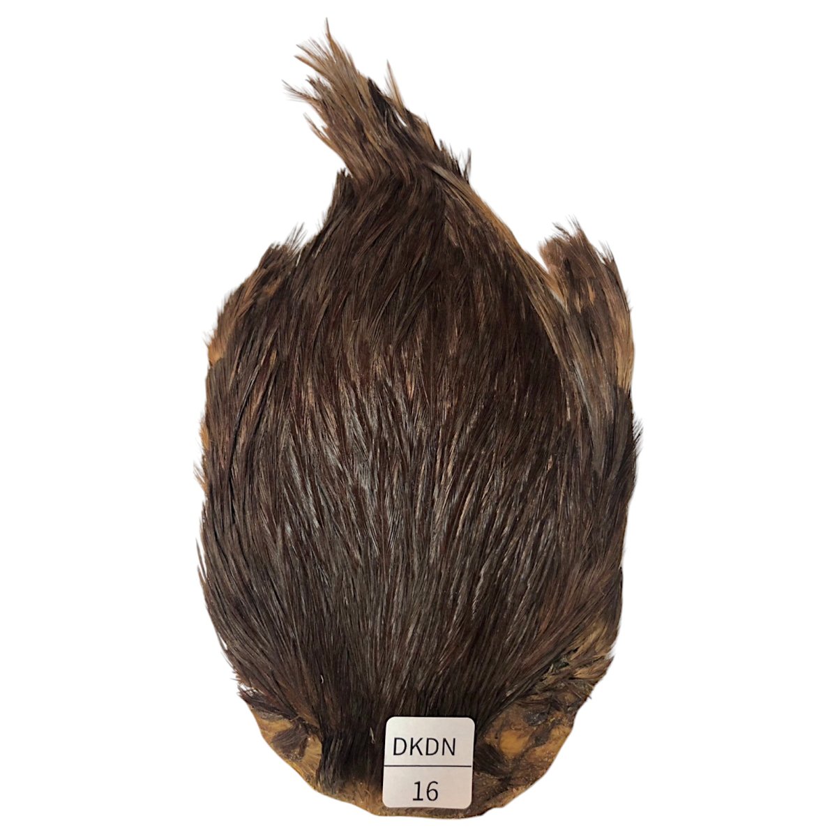 画像1: インドコックケープ India Cock Neck Cape　ブラウンダン　NO16 (1)