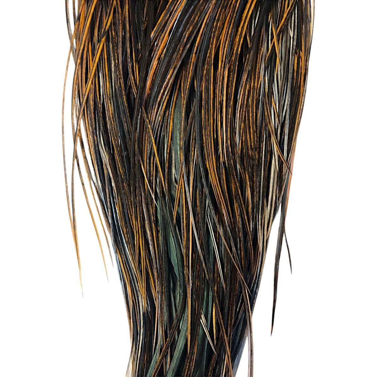 画像3: WHITING Hebart Rooster Saddle ルースターサドル ファーネス Pro Grade  RS1 ホワイティング  (3)