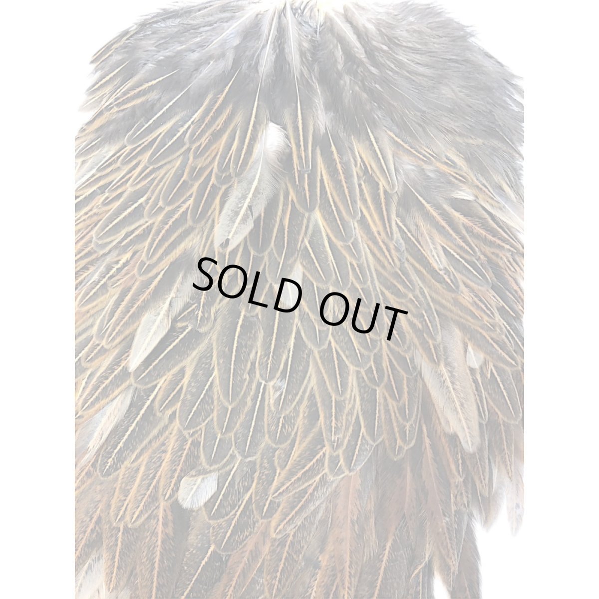 画像2: WHITING Hebart Hen Saddle ヘンサドル ワイルドタイプブラウン HES8 ホワイティング  (2)