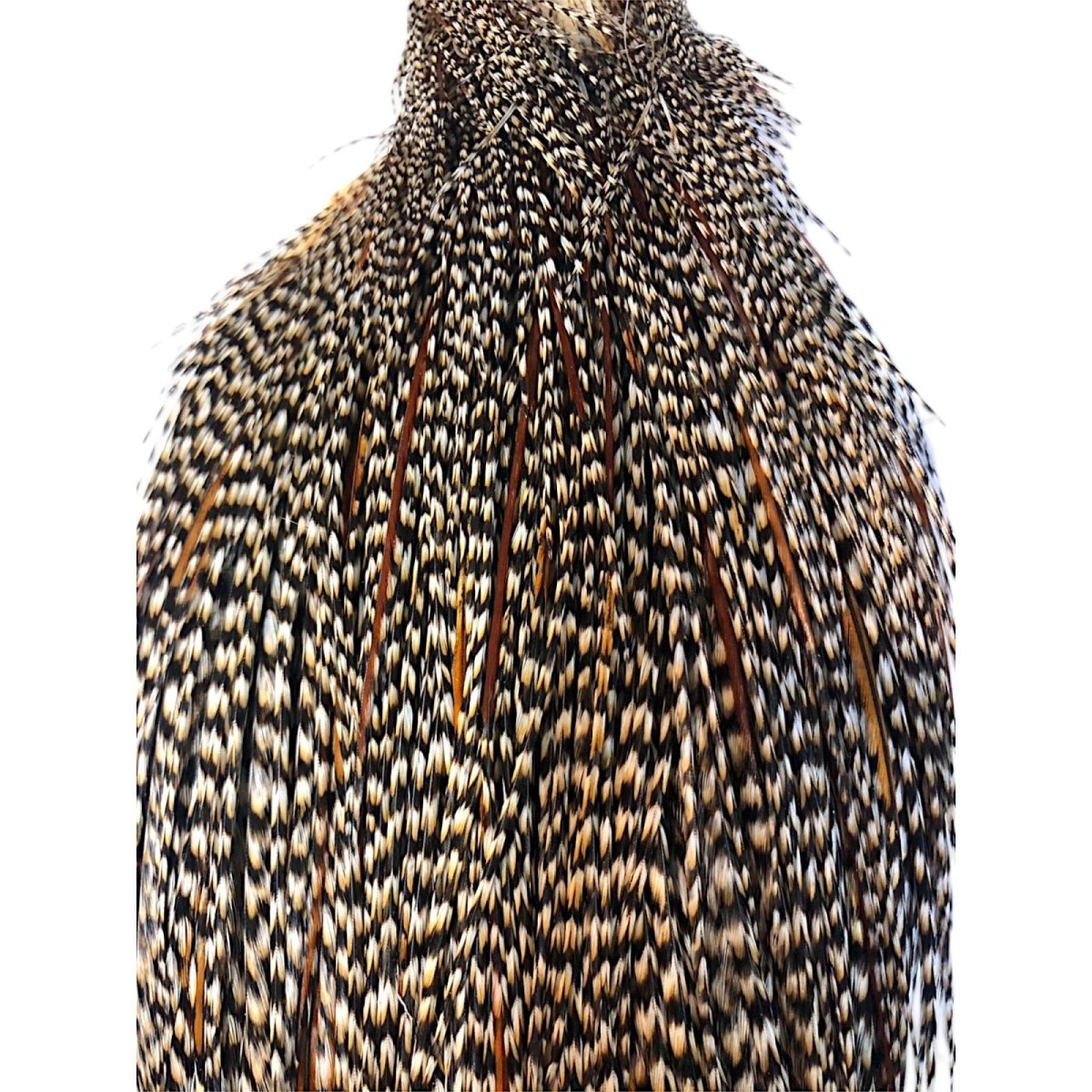 画像2: WHITING Heritage Rooster  Cape ルースターケープ  HERC31 ホワイティング  (2)