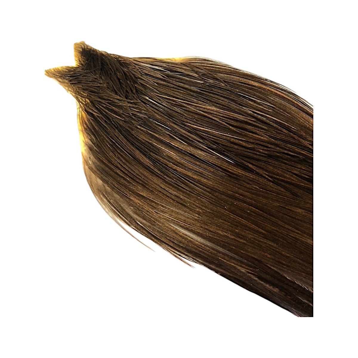 画像4: WHITING Heritage Rooster  Cape ルースターケープ  HERC26 ホワイティング  (4)