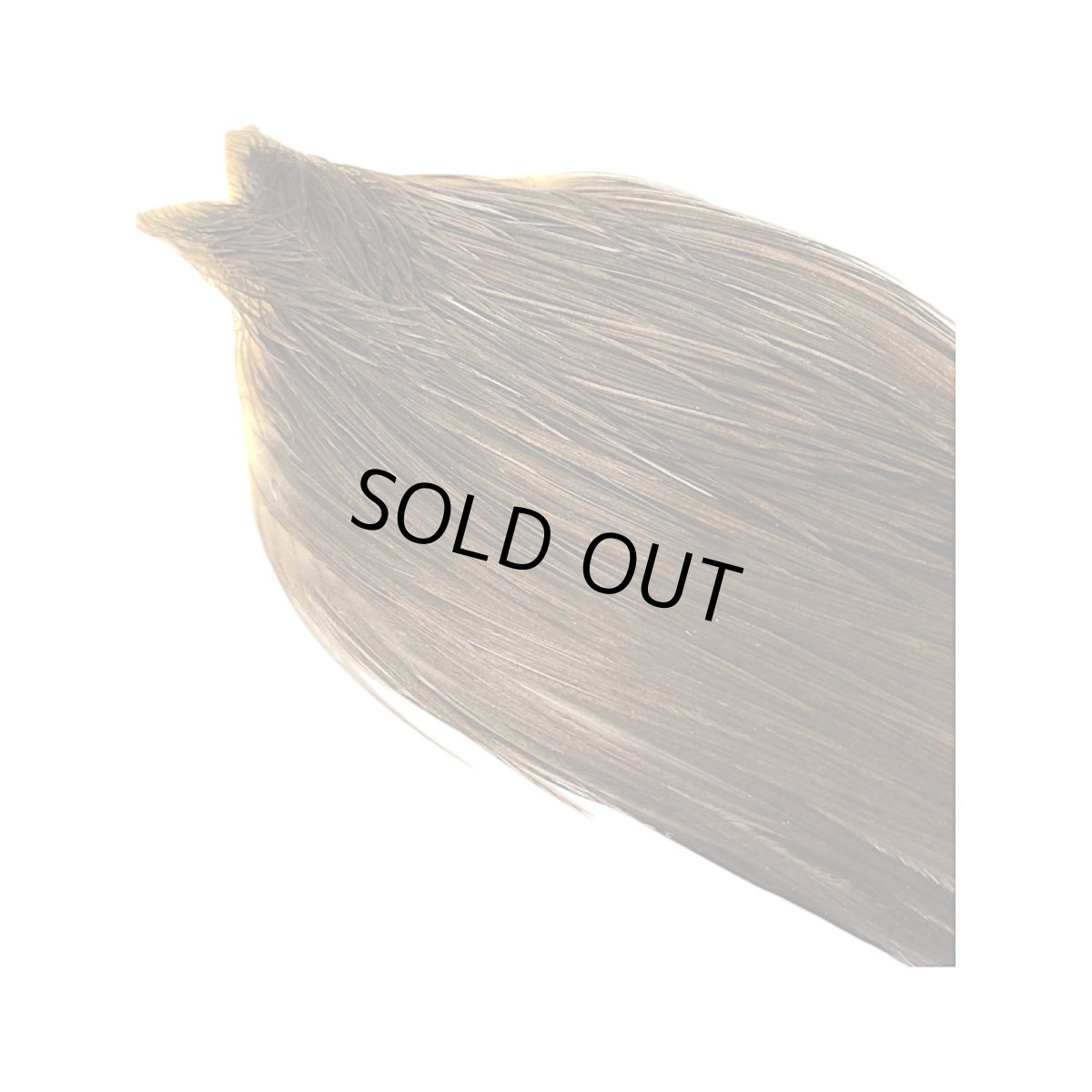 画像4: WHITING　Heritage　Rooster  Cape　ルースターケープ 　HERC26　ホワイティング　 (4)