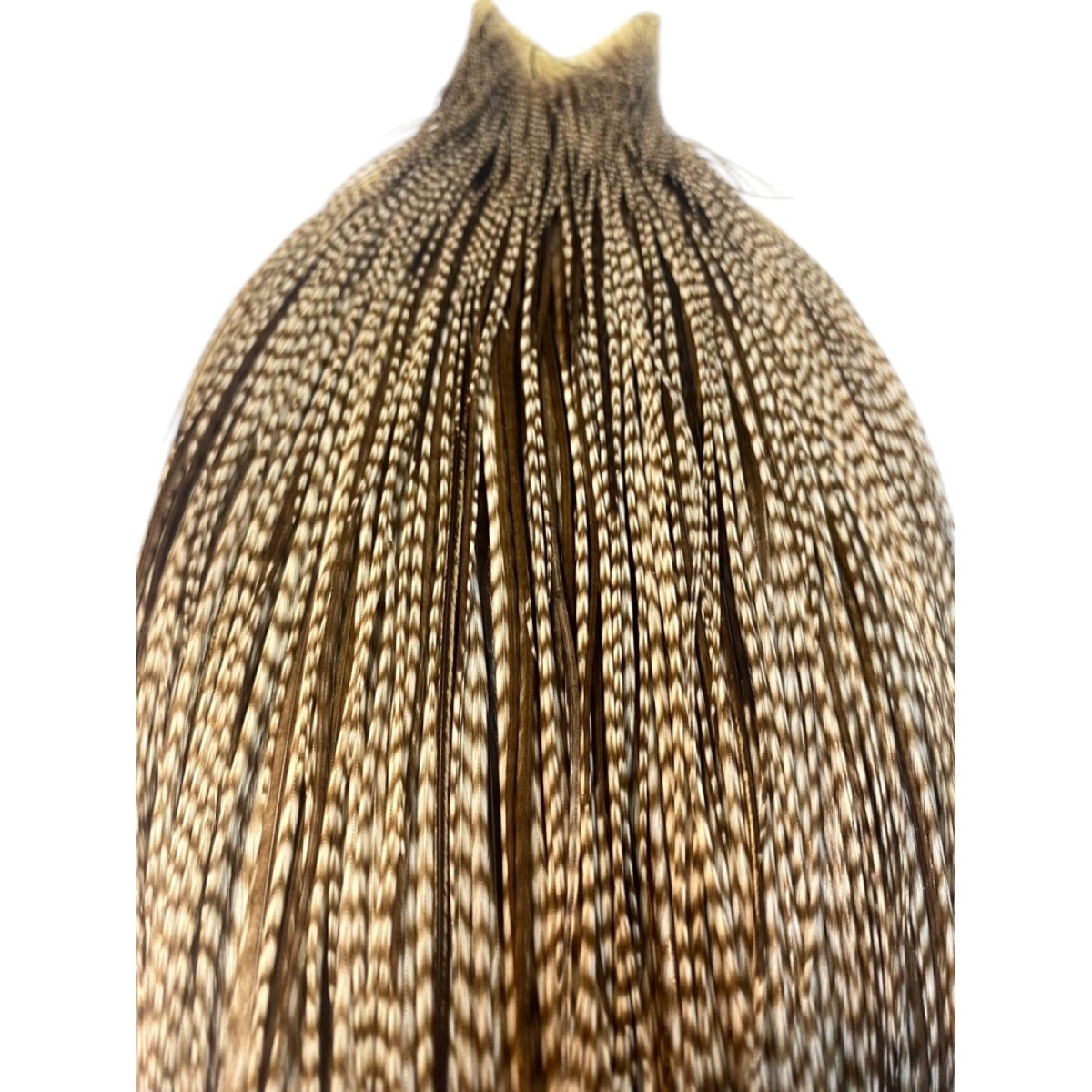 画像2: WHITING Heritage Rooster  Cape ルースターケープ  HERC16 ホワイティング  (2)