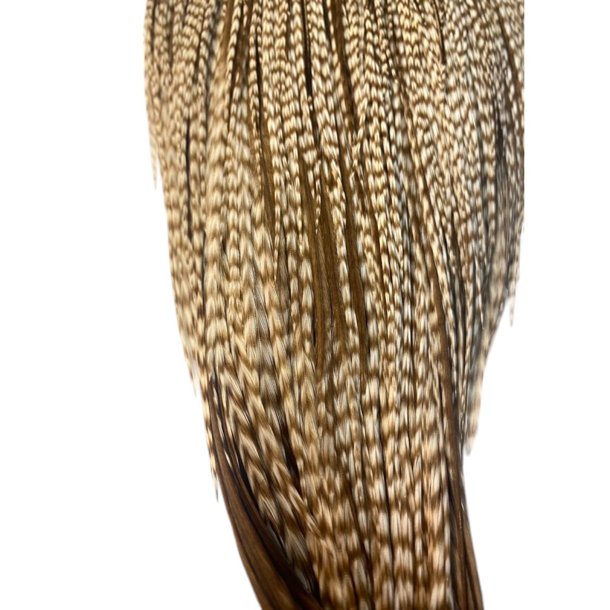 画像3: WHITING Heritage Rooster  Cape ルースターケープ  HERC16 ホワイティング  (3)