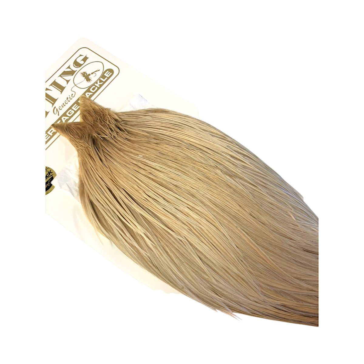 画像4: WHITING Heritage Rooster  Cape ルースターケープ  HERC22 ホワイティング  (4)