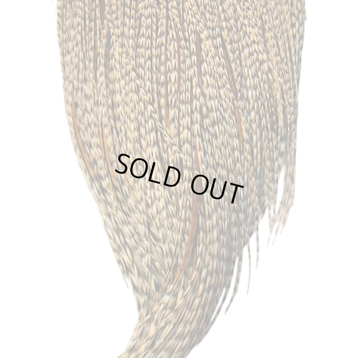 画像3: WHITING　Heritage　Rooster  Cape　ルースターケープ 　HERC23　ホワイティング　 (3)