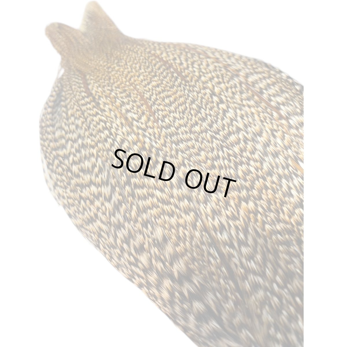 画像5: WHITING Heritage Rooster  Cape ルースターケープ Pro Grade  HERC6 ホワイティング  (5)