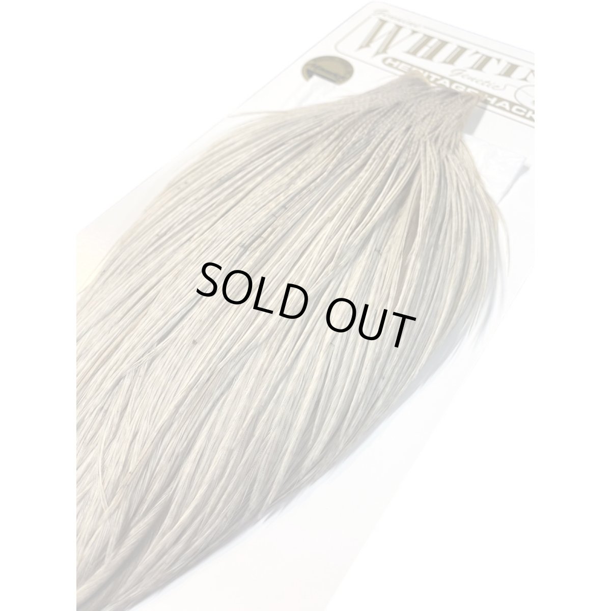 画像4: WHITING　Heritage　Rooster  Cape　ルースターケープ 　HERC15　ホワイティング　 (4)