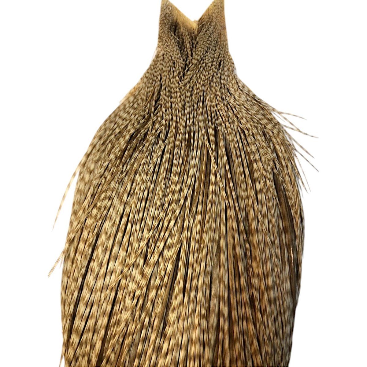 画像2: WHITING　Heritage　Rooster  Cape　ルースターケープ 　HERC32　ホワイティング　 (2)