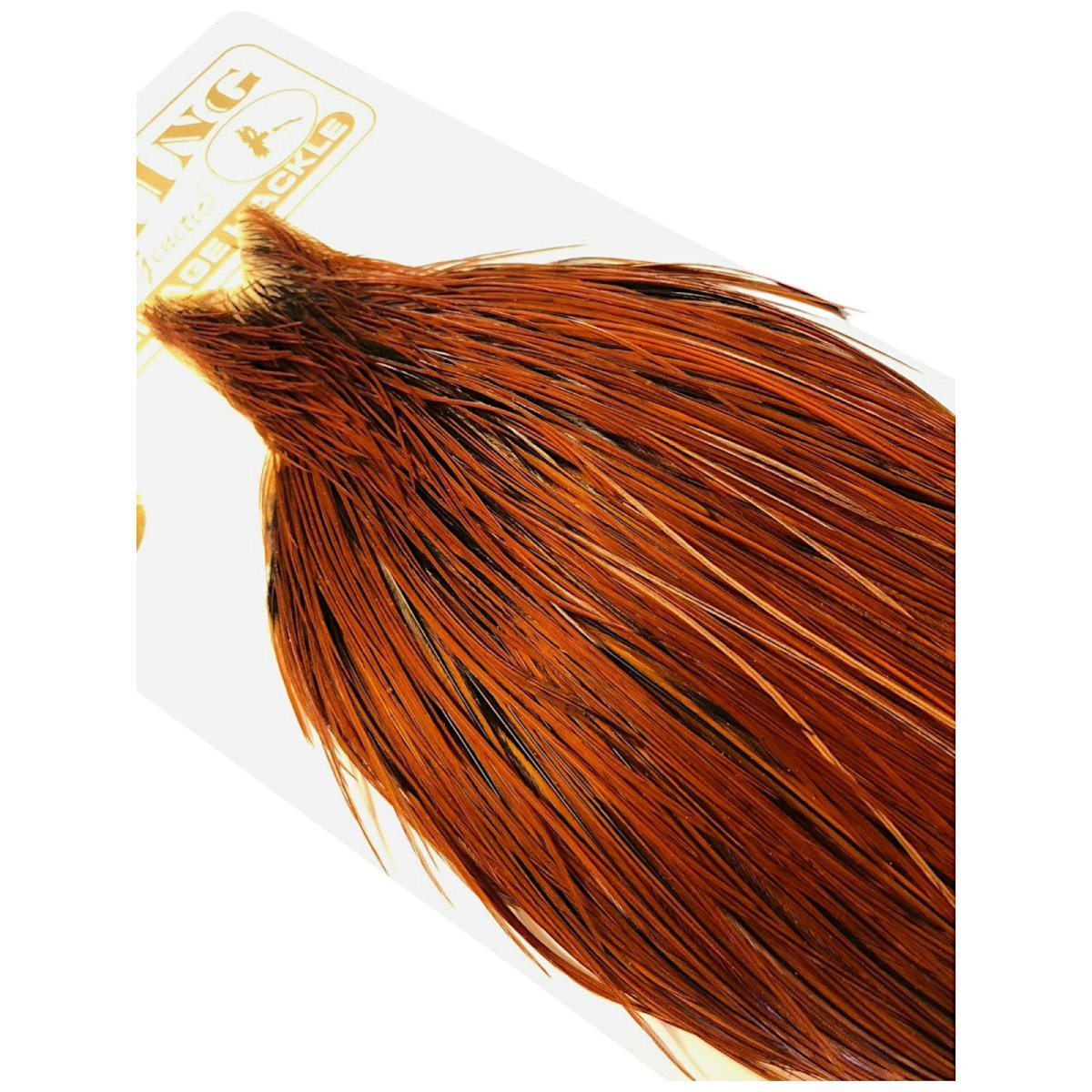 画像4: WHITING Heritage Rooster  Cape ルースターケープ  HERC40 ホワイティング  (4)