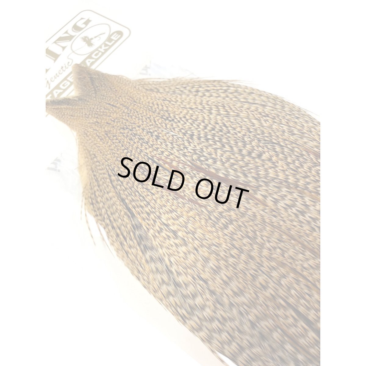 画像4: WHITING Heritage Rooster  Cape ルースターケープ  HERC29 ホワイティング  (4)