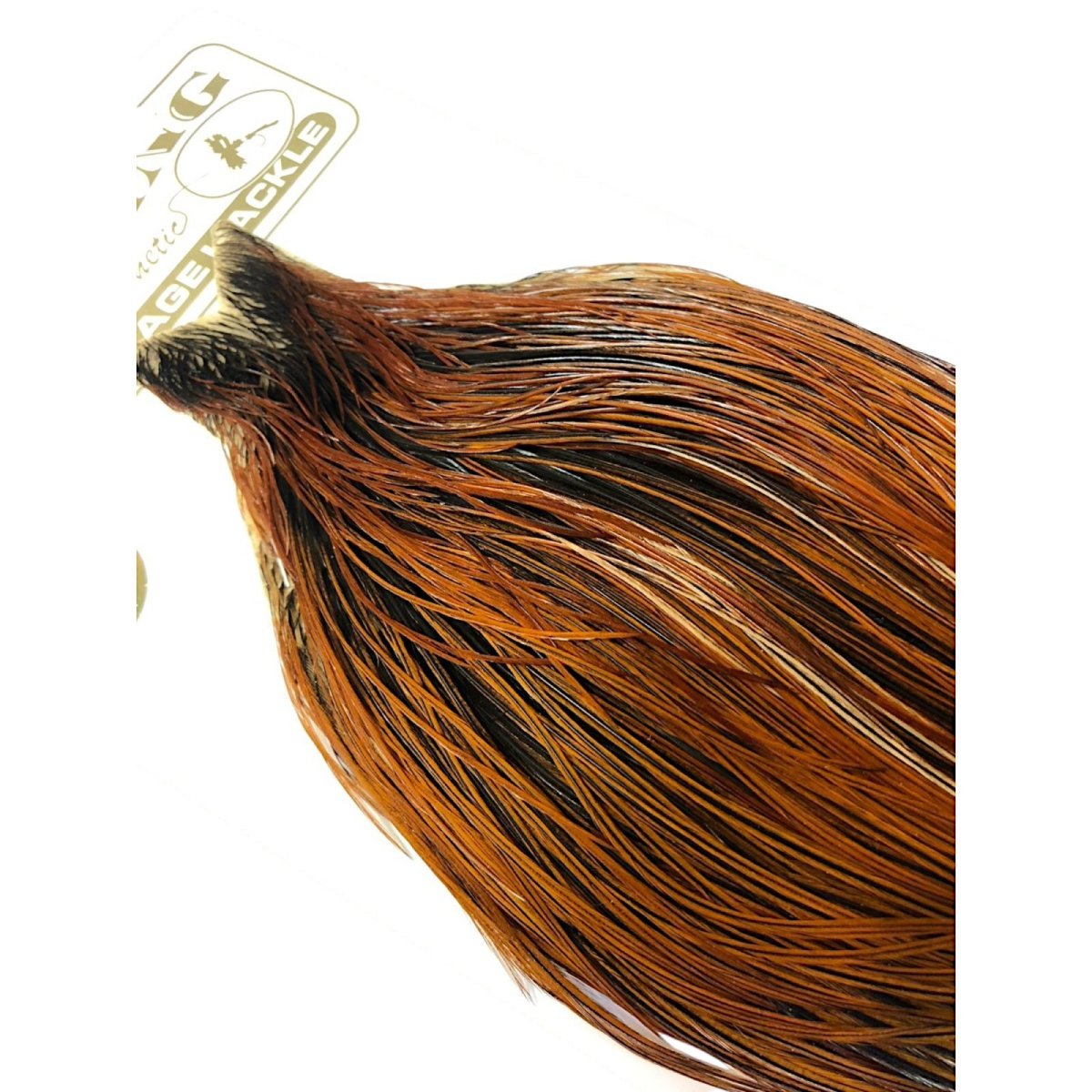 画像4: WHITING Heritage Rooster  Cape ルースターケープ  HERC30 ホワイティング  (4)