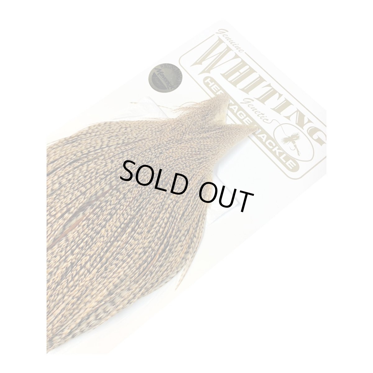 画像5: WHITING　Heritage　Rooster  Cape　ルースターケープ 　HERC23　ホワイティング　 (5)