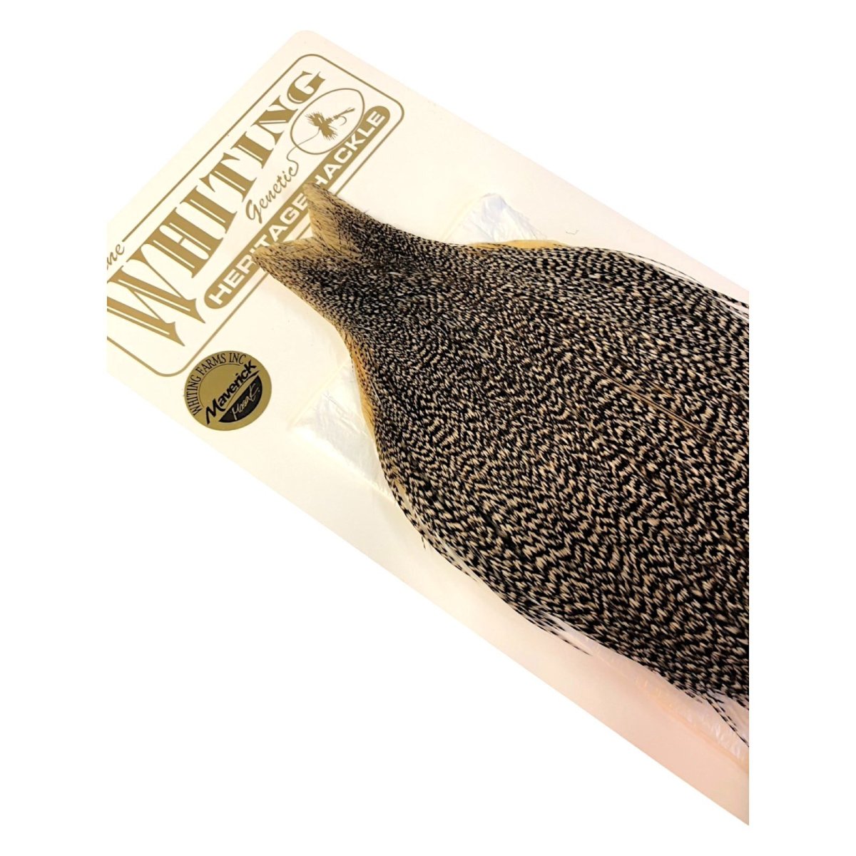 画像4: WHITING Heritage Rooster  Cape ルースターケープ  HERC24 ホワイティング  (4)