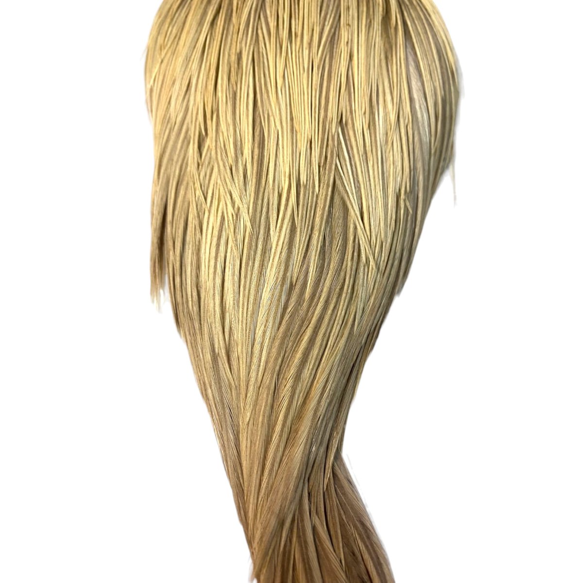 画像2: WHITING Heritage Rooster  Cape ルースターケープ Pro Grade  HERC1 ホワイティング  (2)