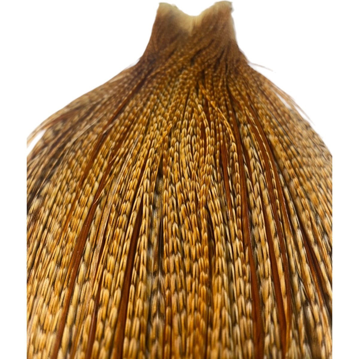 画像2: WHITING Heritage Rooster  Cape ルースターケープ  HERC11 ホワイティング  (2)