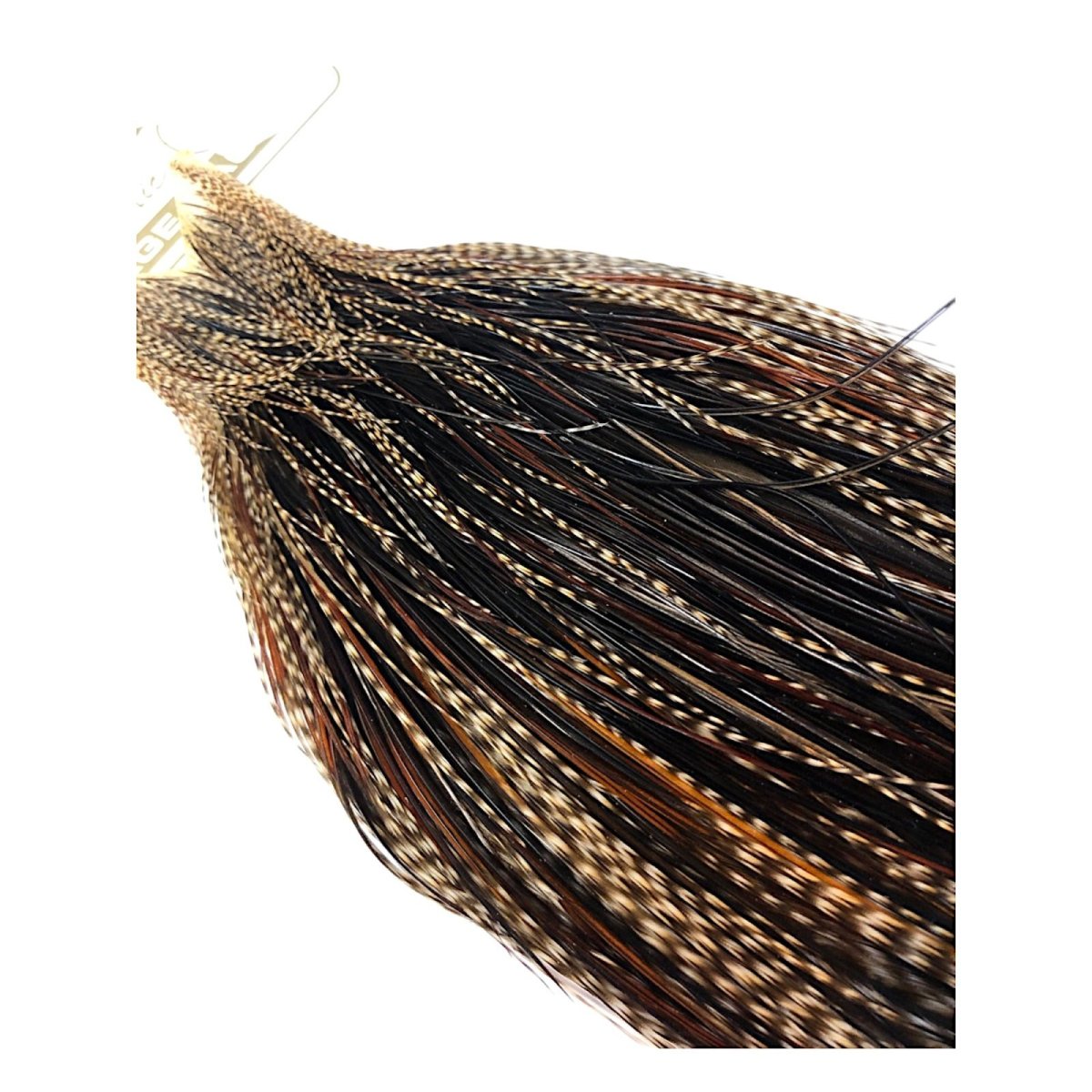 画像4: WHITING Heritage Rooster  Cape ルースターケープ  HERC34 ホワイティング  (4)