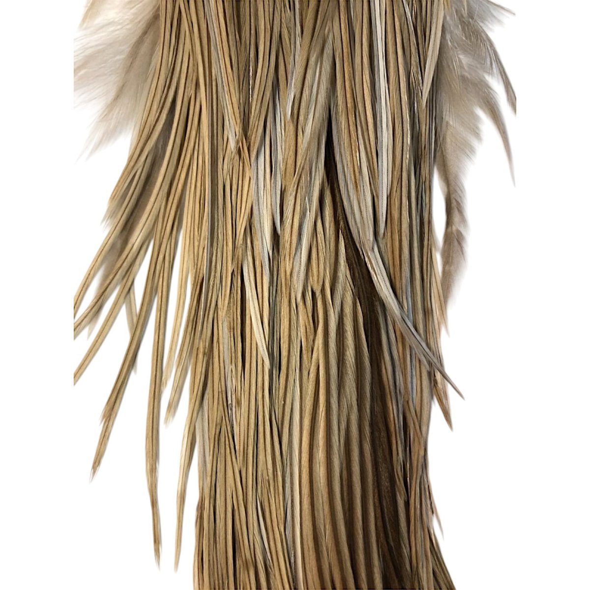 画像3: WHITING Heritage Rooster  Saddle  ルースターサドル Grade #3 HERSD5 ホワイティング  (3)