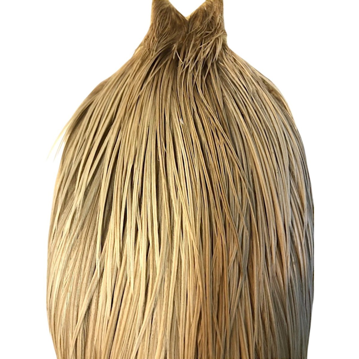 画像2: WHITING Heritage Rooster  Cape ルースターケープ  HERC22 ホワイティング  (2)