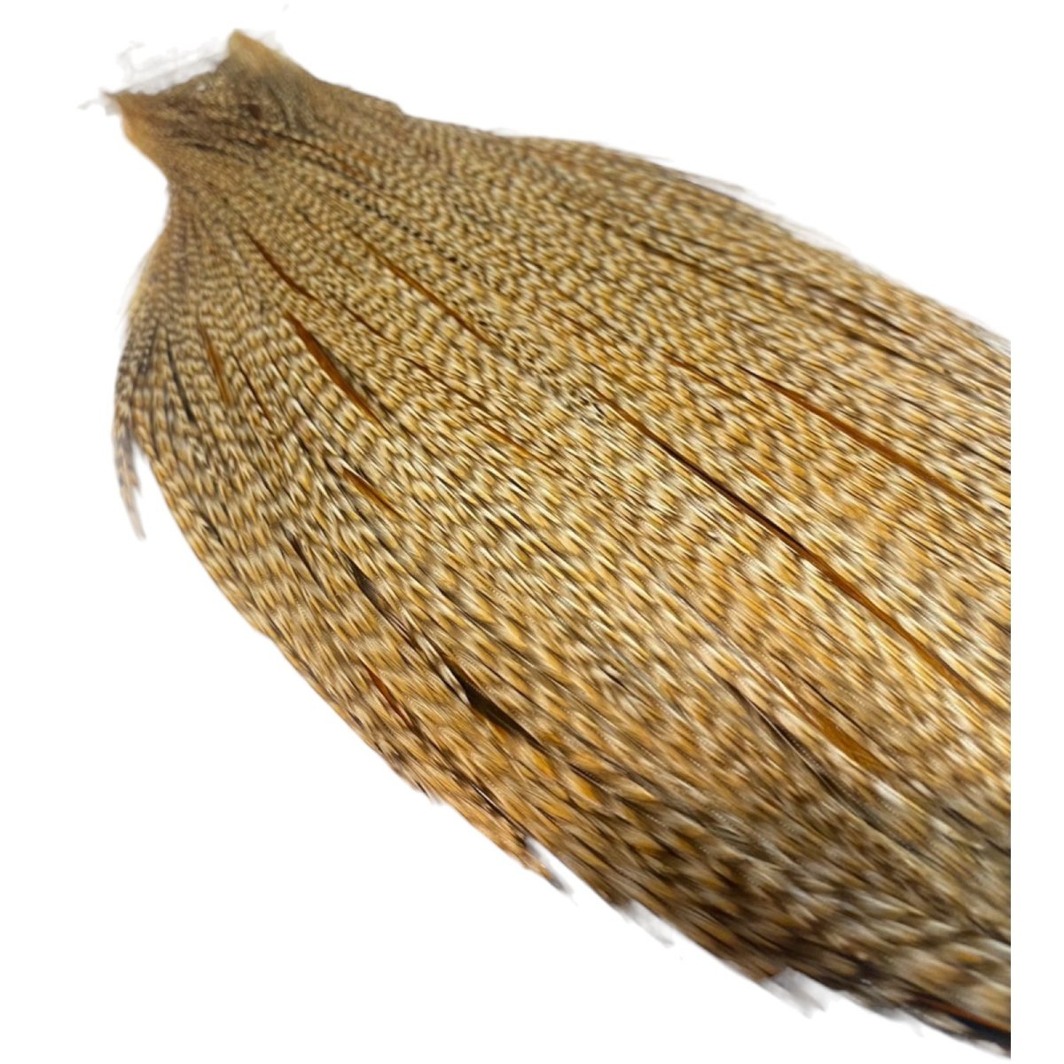 画像5: WHITING Heritage Rooster  Cape ルースターケープ  HERC19 ホワイティング  (5)