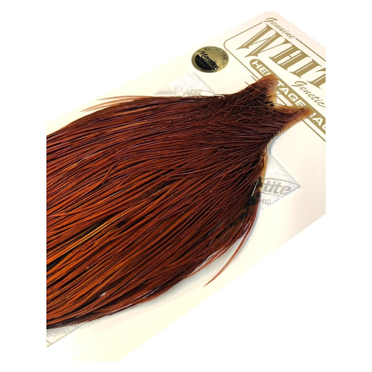 画像5: WHITING Heritage Rooster  Cape ルースターケープ  HERC33 ホワイティング  (5)