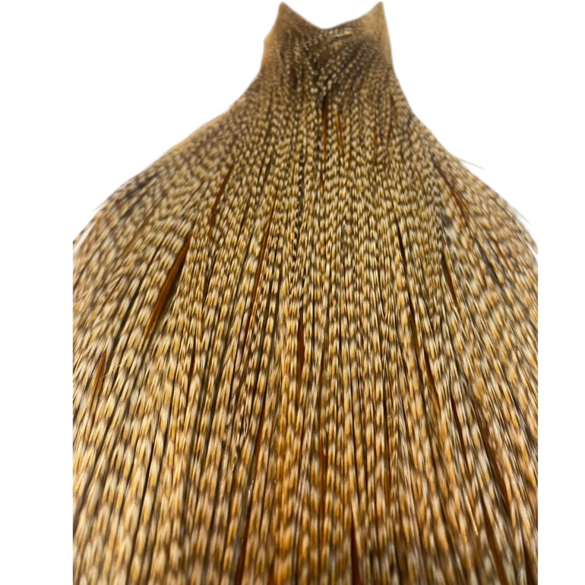 画像2: WHITING Heritage Rooster  Cape ルースターケープ  HERC19 ホワイティング  (2)