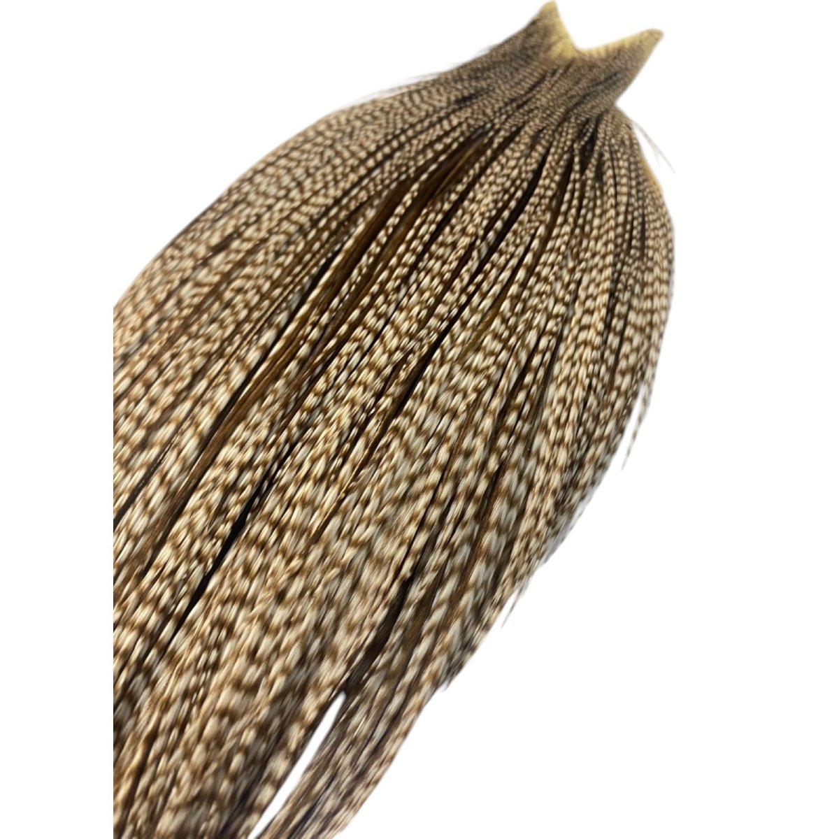 画像4: WHITING Heritage Rooster  Cape ルースターケープ  HERC16 ホワイティング  (4)