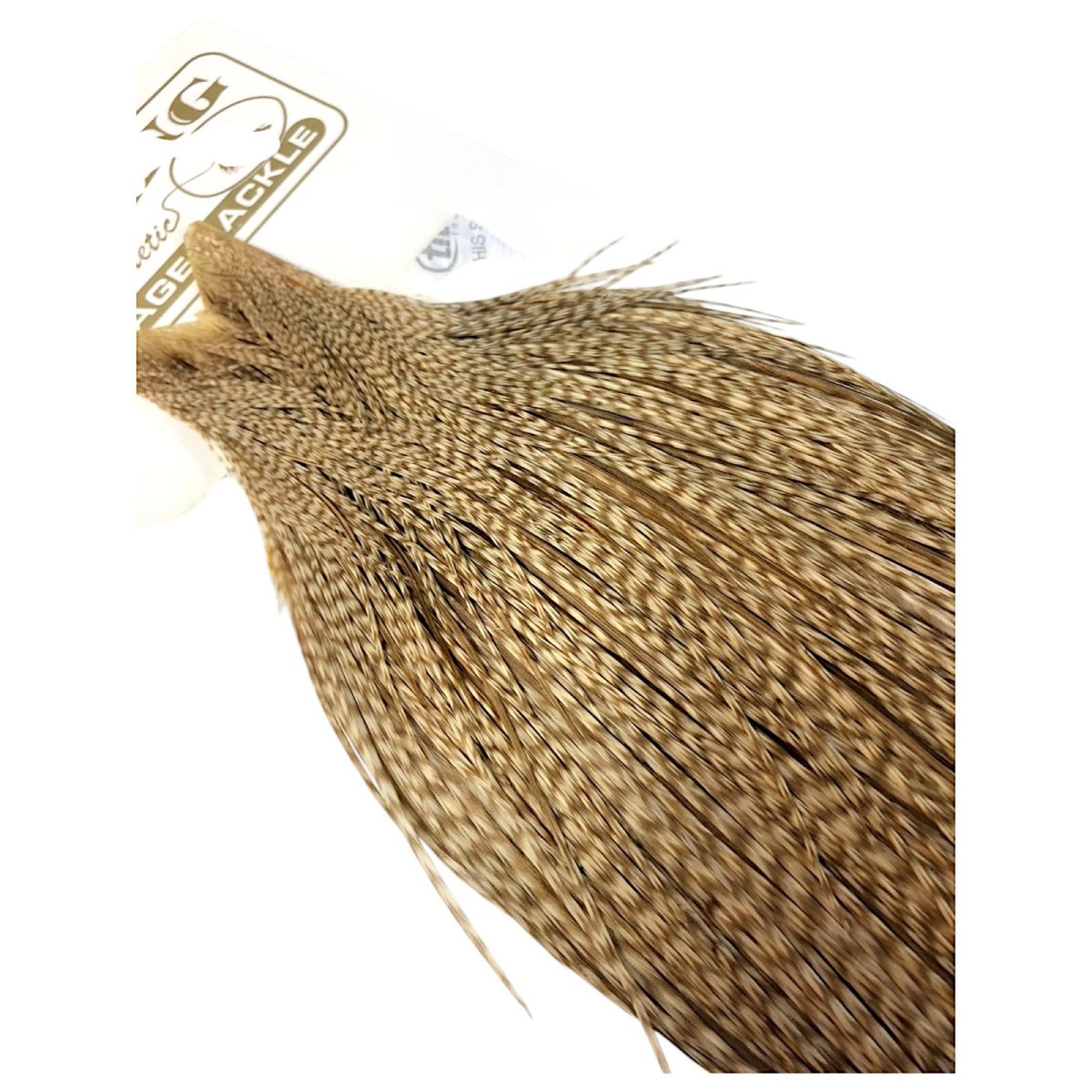 画像4: WHITING　Heritage　Rooster  Cape　ルースターケープ 　HERC32　ホワイティング　 (4)