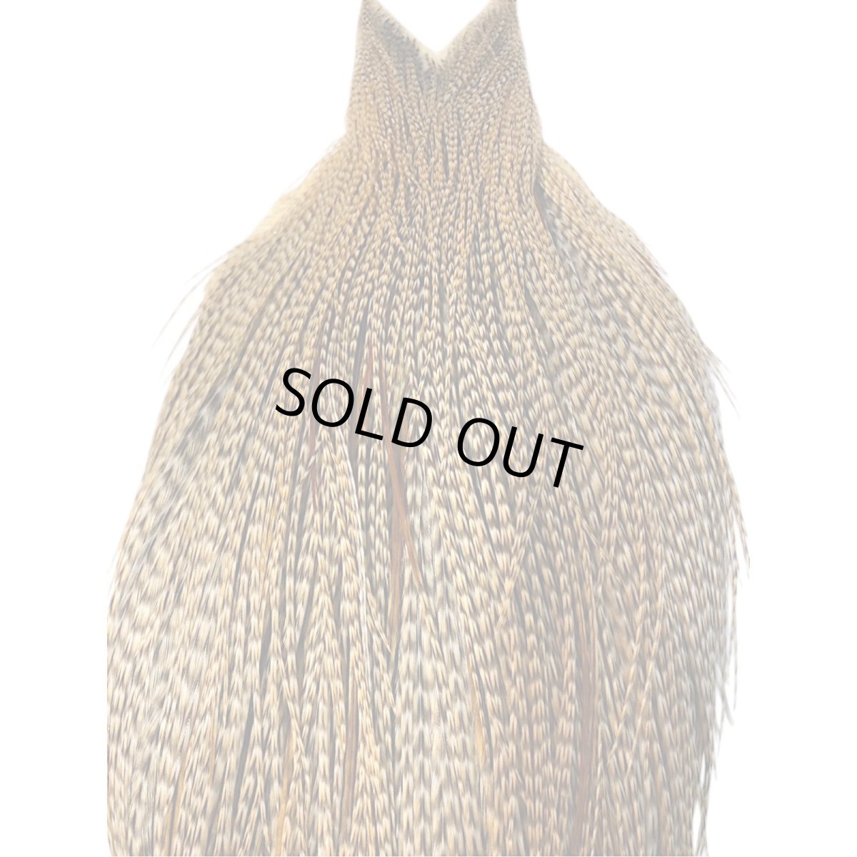 画像2: WHITING Heritage Rooster  Cape ルースターケープ  HERC29 ホワイティング  (2)