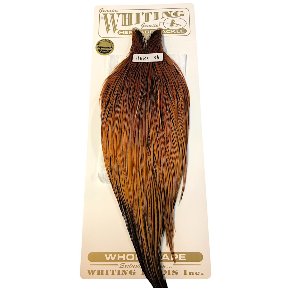 画像1: WHITING　Heritage　Rooster  Cape　ルースターケープ 　HERC35　ホワイティング　 (1)