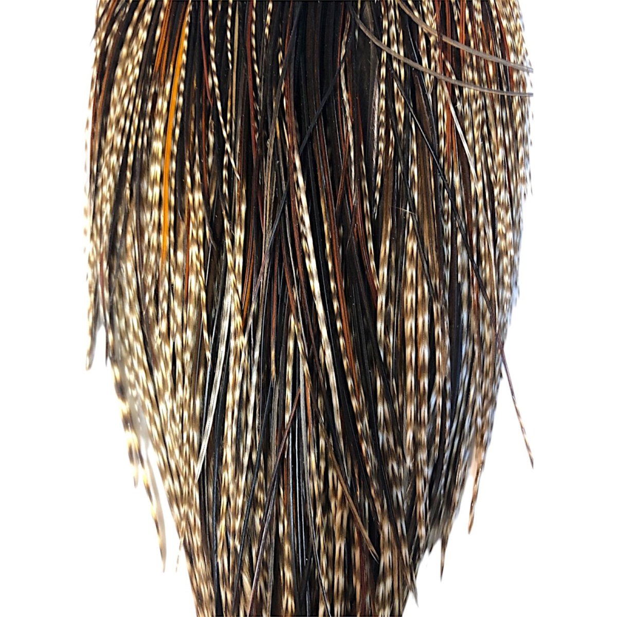 画像3: WHITING Heritage Rooster  Cape ルースターケープ  HERC34 ホワイティング  (3)